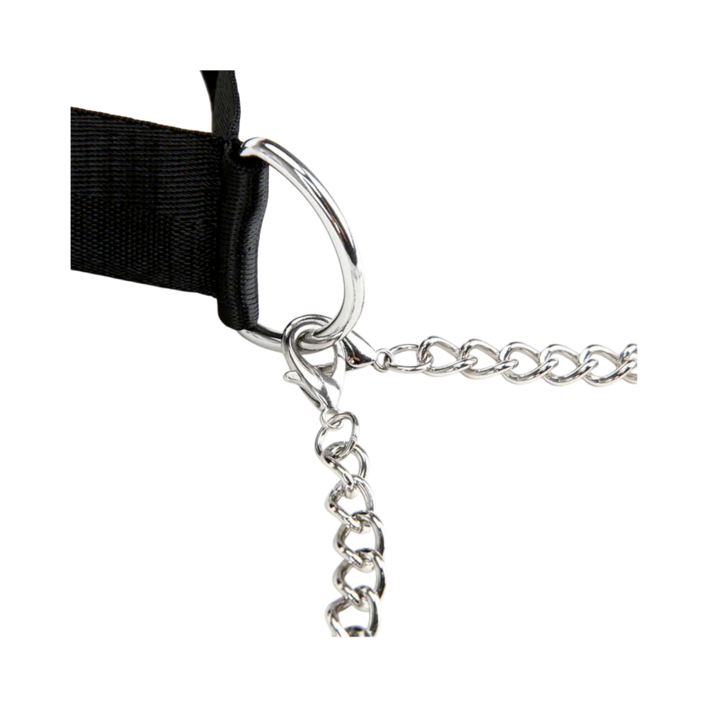 Lux Fetish — Collar with Nipple Clamps (Adjustable Pressure)